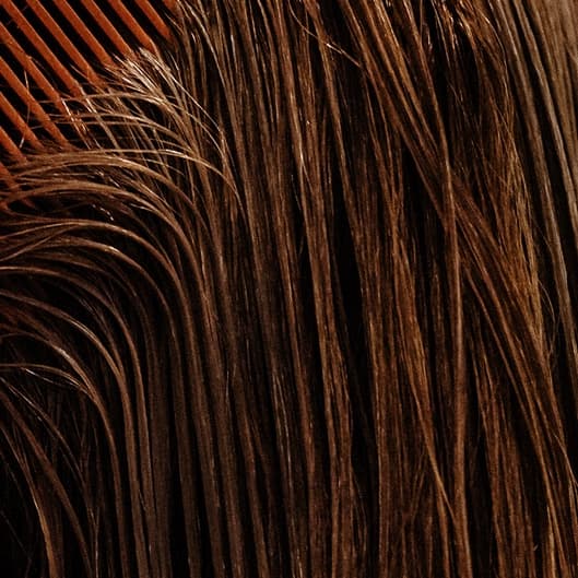 Deep Conditioning Membership at Hair With EmilyMC in Nitro, WV